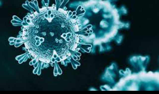 Coronavirus, in Puglia 85 nuovi casi: positivo il 5,63% dei tamponi